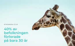 Olaglig Jakt Är Ett Stort Problem - Gratis Mall