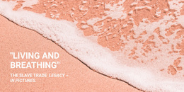 Sea And Water Activities - Professional Web Page Design