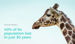 Illegal Hunting Is A Big Problem - Responsive WordPress Theme