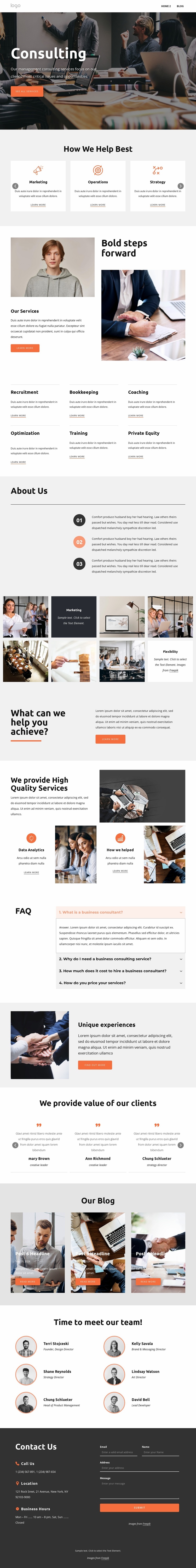 Comprehensive business consulting Website Design