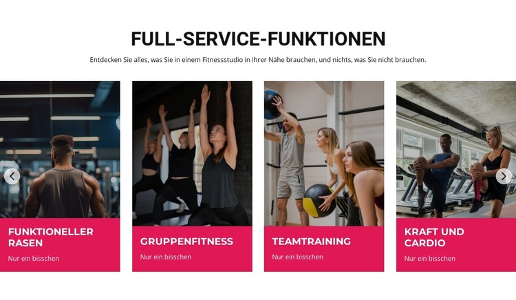 Full-Service-Funktionen Website-Vorlage