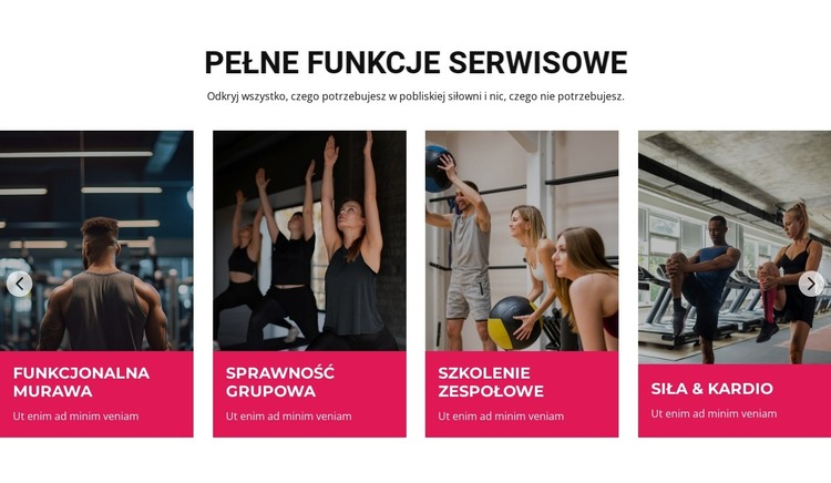 Pełne funkcje serwisowe Szablon HTML