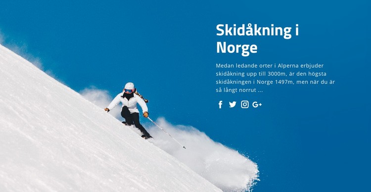 Skidåkning i Norge Webbplats mall