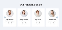 We have an amazing team - CSS Template by Nicepage