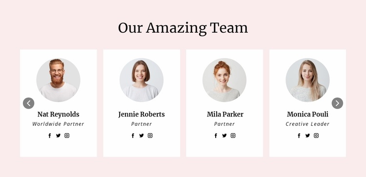 We have an amazing team Landing Page
