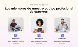 Diseño Del Sitio Web Para Estratégico, Impulsado Por El Desempeño