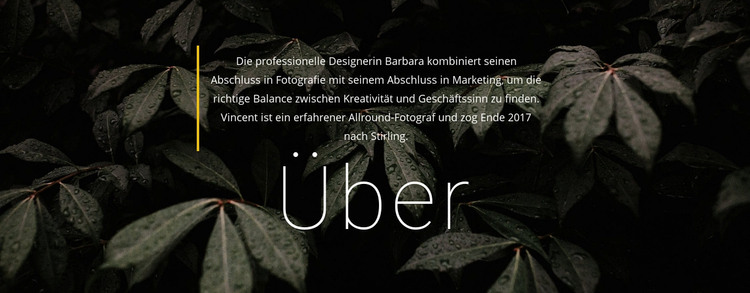 Einige Infos über uns Website design