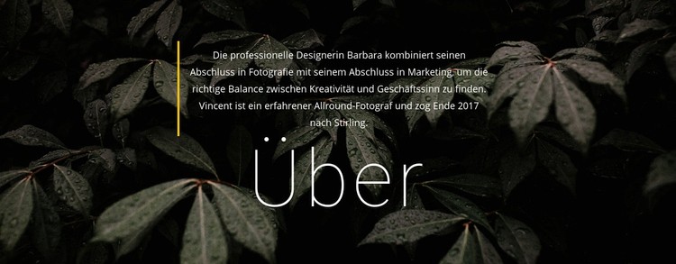 Einige Infos über uns WordPress-Theme