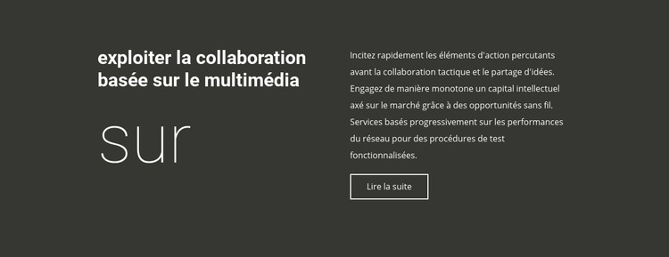 À propos de la collaboration commerciale Modèle HTML5