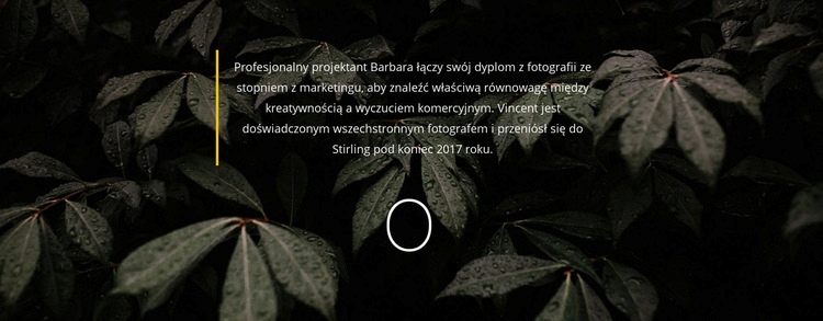 Kilka informacji o nas Kreator witryn internetowych HTML