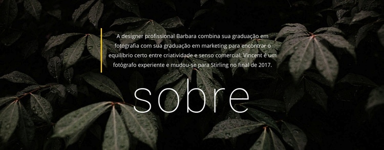 Algumas informações sobre nós Landing Page