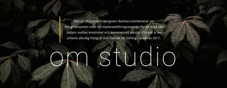 Lite info om oss Hemsidedesign