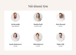 Úžasný Tým – Šablona Stránky HTML