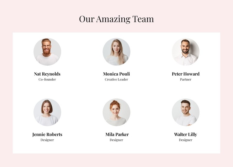 The amazing team CSS Template