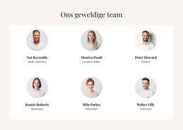 Prachtig WordPress-Thema Voor Het Geweldige Team