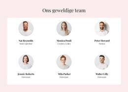 Het Geweldige Team