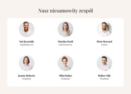 Oszałamiający Motyw WordPress Dla Niesamowity Zespół