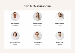 Det Fantastiska Laget Butiksmall