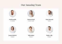 The Amazing Team - Web Mockup