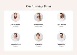 Stunning WordPress Theme For The Amazing Team