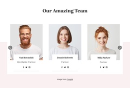 Team Border Script Team block with overlapping - Template by Nicepage