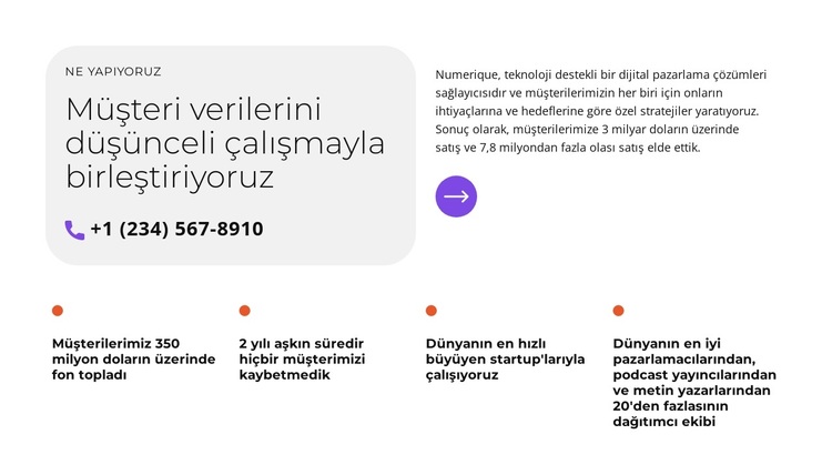 Daha iyi bir pazarlama yöntemi sağlamak WordPress Teması