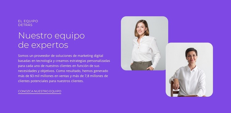 Obtenga su auditoría de marketing gratuita Plantilla HTML