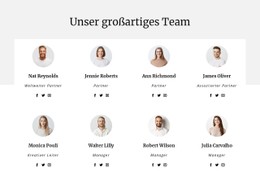 Das Team Des Beratungsunternehmens