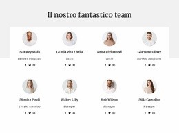 Il Team Della Società Di Consulenza