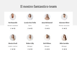 Il Team Della Società Di Consulenza