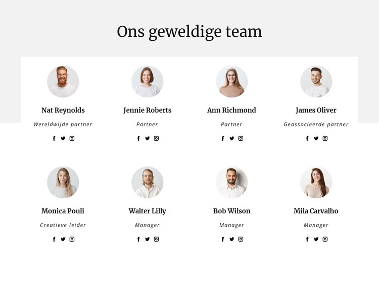 Het team van het adviesbureau CSS-sjabloon