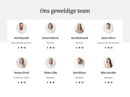 Het Team Van Het Adviesbureau