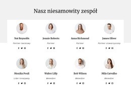 Zespół Firmy Konsultingowej