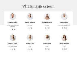 Konsultföretagets Team