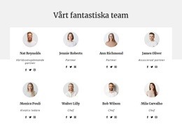 Konsultföretagets Team