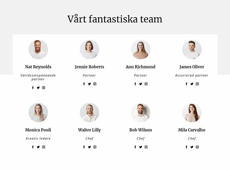 Konsultföretagets team Webbplats mall