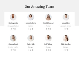 The Team Of The Consulting Company