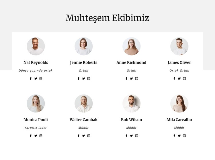 Danışmanlık şirketinin ekibi CSS Şablonu