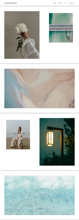 Página De La Galería