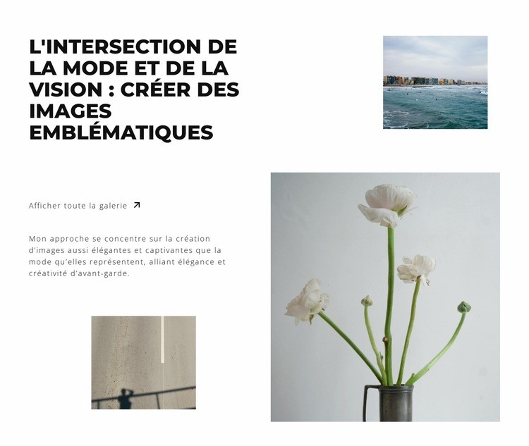 Superbe photographie Créateur de site Web HTML