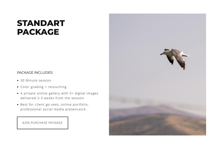 Embodying Style HTML Template