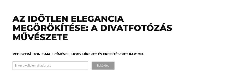 A divat metszéspontja Weboldal sablon