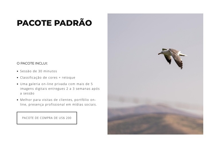 Incorporando Estilo Design do site