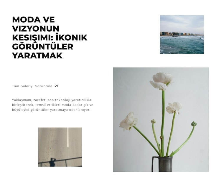 Harika fotoğrafçılık Web Sitesi Şablonu