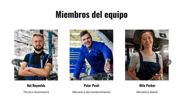 Miembros del equipo de reparación de automóviles Diseño de páginas web