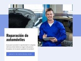 Obtenga Reparaciones De Automóviles En Nueva York - Diseño Profesional Personalizable