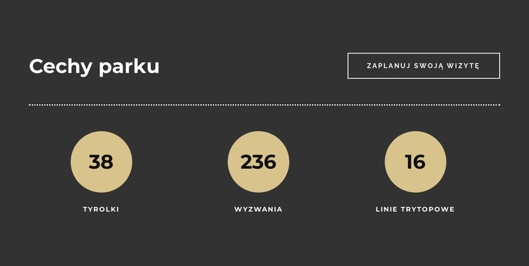 Funkcje parku rozrywki Motyw WordPress