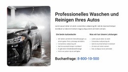 Professionelle Autowäsche