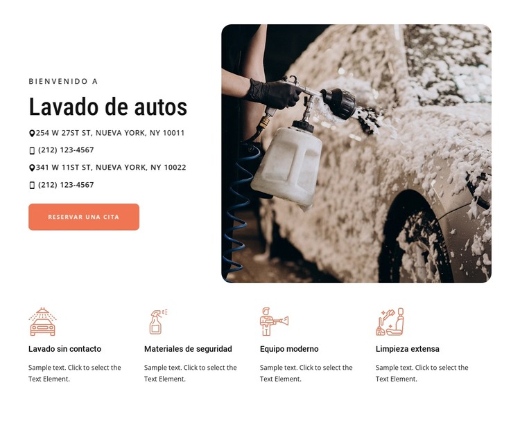 servicio de lavado de autos Plantilla CSS