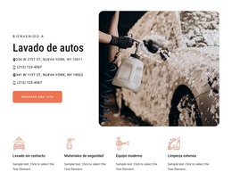 Servicio De Lavado De Autos